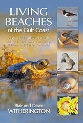 Living beaches gulf for sale  Delivered anywhere in USA 