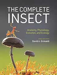 Complete insect anatomy for sale  Delivered anywhere in UK