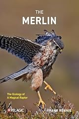 Merlin ecology magical for sale  Delivered anywhere in UK