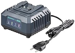 chargeur batterie skill 18 volt d'occasion  Livré partout en France