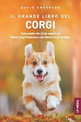 Grande libro del usato  Spedito ovunque in Italia 