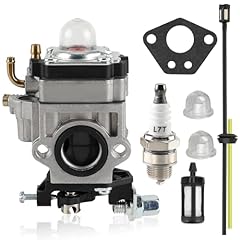 Goamotors carburatore universa usato  Spedito ovunque in Italia 