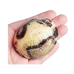 Acxico 1pcs septarian for sale  Delivered anywhere in USA 