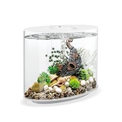 Biorb loop 30l for sale  Delivered anywhere in UK