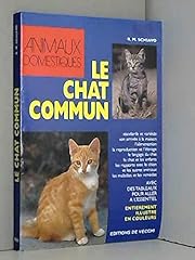 Chat commun d'occasion  Livré partout en Belgiqu