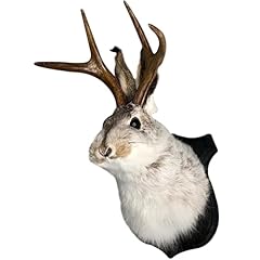 Jackalope wall mount for sale  Delivered anywhere in USA 