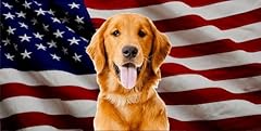 Golden retriever dog for sale  Delivered anywhere in USA 