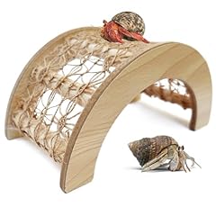 Hermit crab climbing for sale  Delivered anywhere in USA 