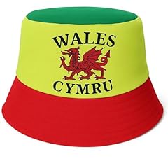 Arg wales bucket for sale  Delivered anywhere in UK