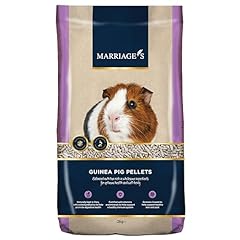 Marriage adult guinea for sale  Delivered anywhere in UK