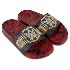 Wwe boys championship for sale  Delivered anywhere in USA 