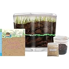 Worm farm kids for sale  Delivered anywhere in USA 
