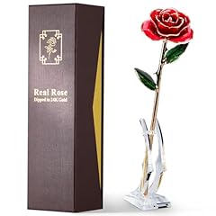 Eco space gold for sale  Delivered anywhere in USA 