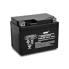 Ytx4l battery 12v for sale  Delivered anywhere in USA 