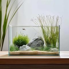 Gallon glass fish for sale  Delivered anywhere in USA 