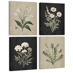 Kuvioke vintage botanical for sale  Delivered anywhere in USA 