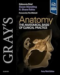 Gray anatomy the usato  Spedito ovunque in Italia 