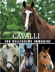 Cavalli più belli usato  Spedito ovunque in Italia 