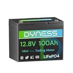 Dyness batteria lifepo4 usato  Spedito ovunque in Italia 