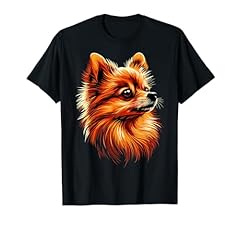 Poméranien chien pomeranian d'occasion  Livré partout en France