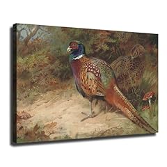 Archibald thorburn rooster for sale  Delivered anywhere in USA 