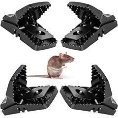 Batuutah large rat for sale  Delivered anywhere in UK