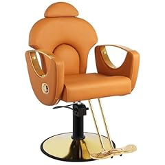 Mimwow salon chair for sale  Delivered anywhere in USA 