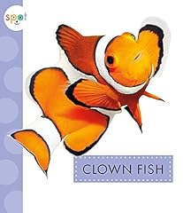 Clown fish d'occasion  Livré partout en France