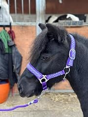 Polka dot headcollar for sale  Delivered anywhere in UK