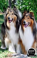 Rough collie lined for sale  Delivered anywhere in Ireland