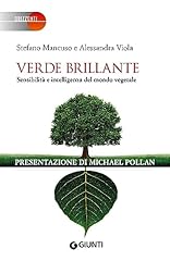 Verde brillante usato  Spedito ovunque in Italia 
