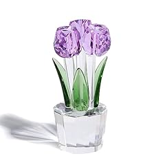 Crystal purple tulips for sale  Delivered anywhere in UK