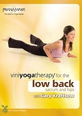 Viniyoga therapy low for sale  Delivered anywhere in USA 