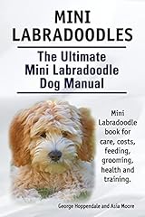 Mini labradoodles. ultimate for sale  Delivered anywhere in USA 