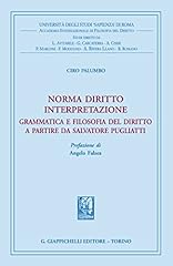 Norma diritto interpretazione usato  Spedito ovunque in Italia 