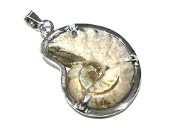 Ammonit gebraucht kaufen  Wird an jeden Ort in Deutschland