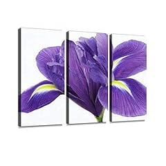 Yking1 purple iris for sale  Delivered anywhere in USA 