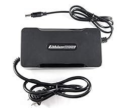 Lithiumcore fast charger for sale  Delivered anywhere in USA 
