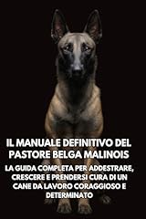 Manuale definitivo del usato  Spedito ovunque in Italia 