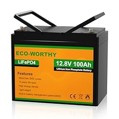 Eco worthy lifepo4 for sale  Delivered anywhere in UK