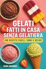 Gelati fatti casa usato  Spedito ovunque in Italia 