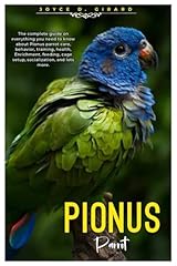 Pionus parrot complete for sale  Delivered anywhere in USA 