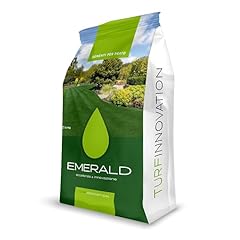 Emeraldgreen aggressive 9010 usato  Spedito ovunque in Italia 