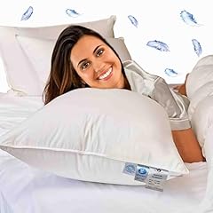 Facilcasa cuscino piuma usato  Spedito ovunque in Italia 
