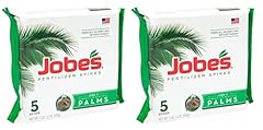 Jobe palm tree for sale  Delivered anywhere in USA 