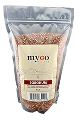 Mycology basics organic for sale  Delivered anywhere in USA 