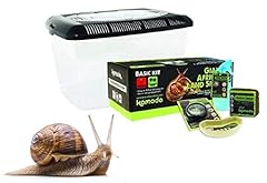 giant african land snails for sale  Delivered anywhere in UK