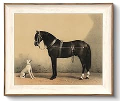 Uniro vintage framed for sale  Delivered anywhere in USA 