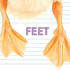 Feet for sale  Delivered anywhere in USA 