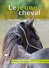 Jeune cheval comprendre d'occasion  Livré partout en Belgiqu